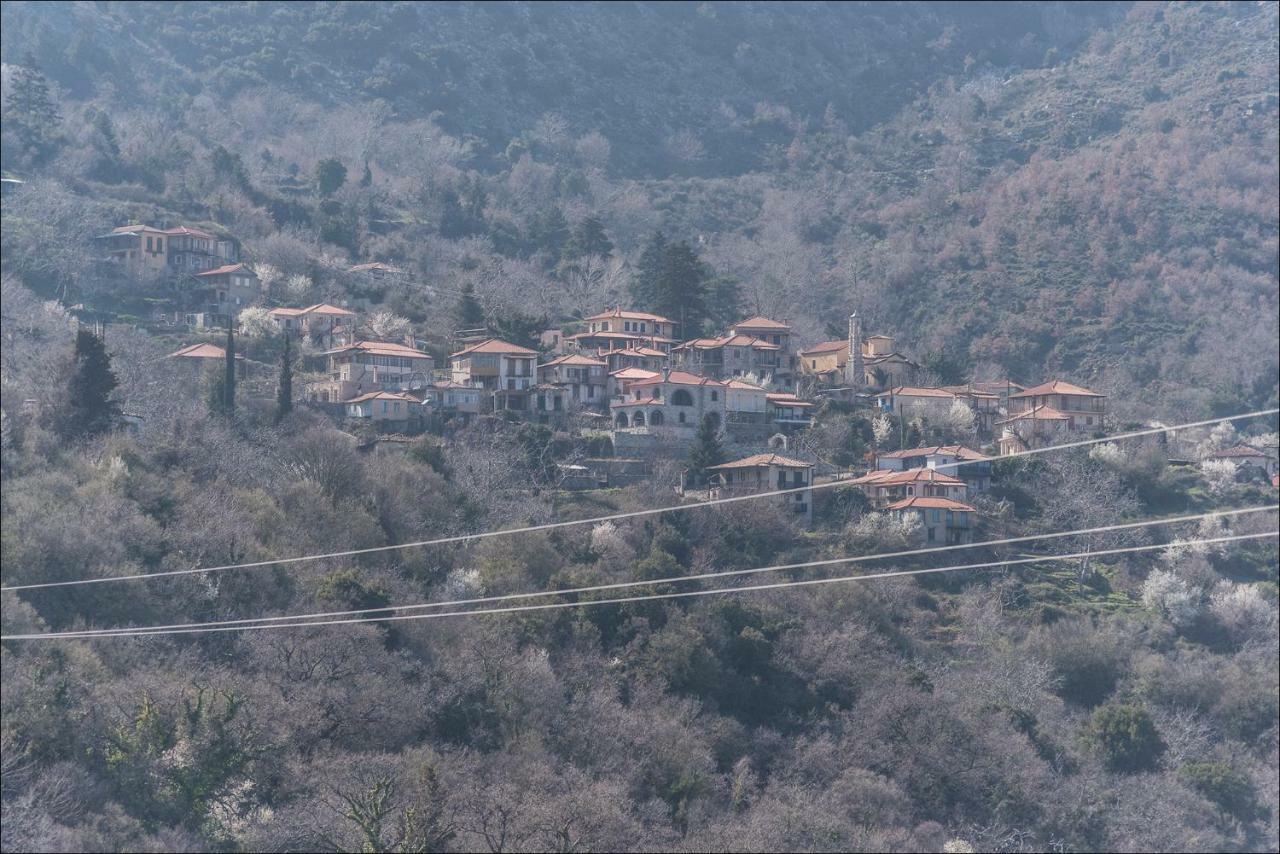 米斯特拉斯Stone Mansion Anavryti, Αμα 20569别墅 外观 照片