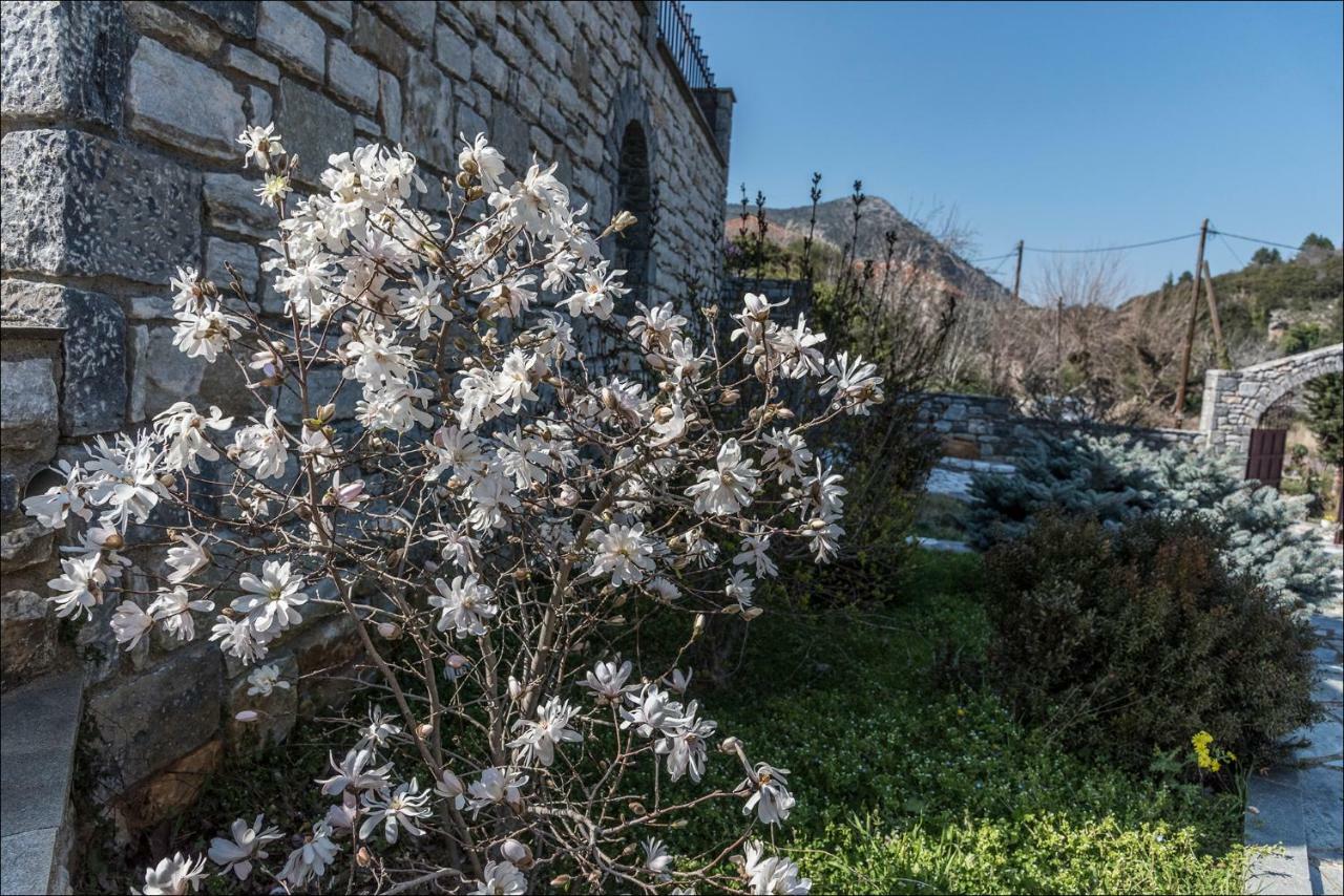 米斯特拉斯Stone Mansion Anavryti, Αμα 20569别墅 外观 照片